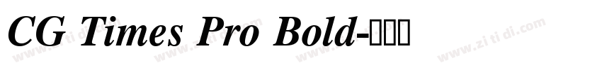 CG Times Pro Bold字体转换